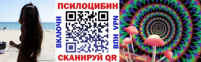 купить закладку  Мончегорск  Галлюциногенные грибы Psilocybe 